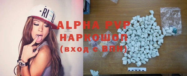 индика Тихвин
