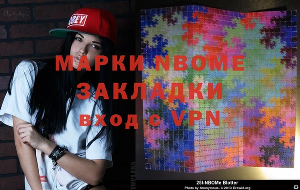 сатива Вяземский