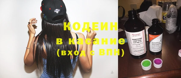 сатива Вяземский