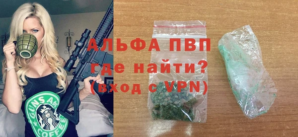 сатива Вяземский