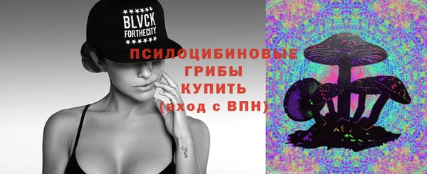 сатива Вяземский