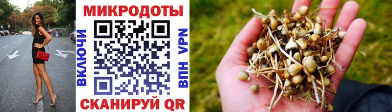 shop как зайти  где продают   Иваново  Псилоцибиновые грибы мухоморы 